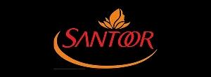 santoor