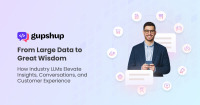 Impact of Industry-Specific LLMs on Customer Experiences, Insights, and Conversations