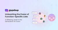 Synergy of Generative AI and Function-Specific LLM in optimizing interactions