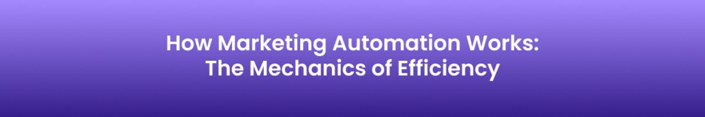 How Marketing Automation Works: The Mechanics of Efficiency?